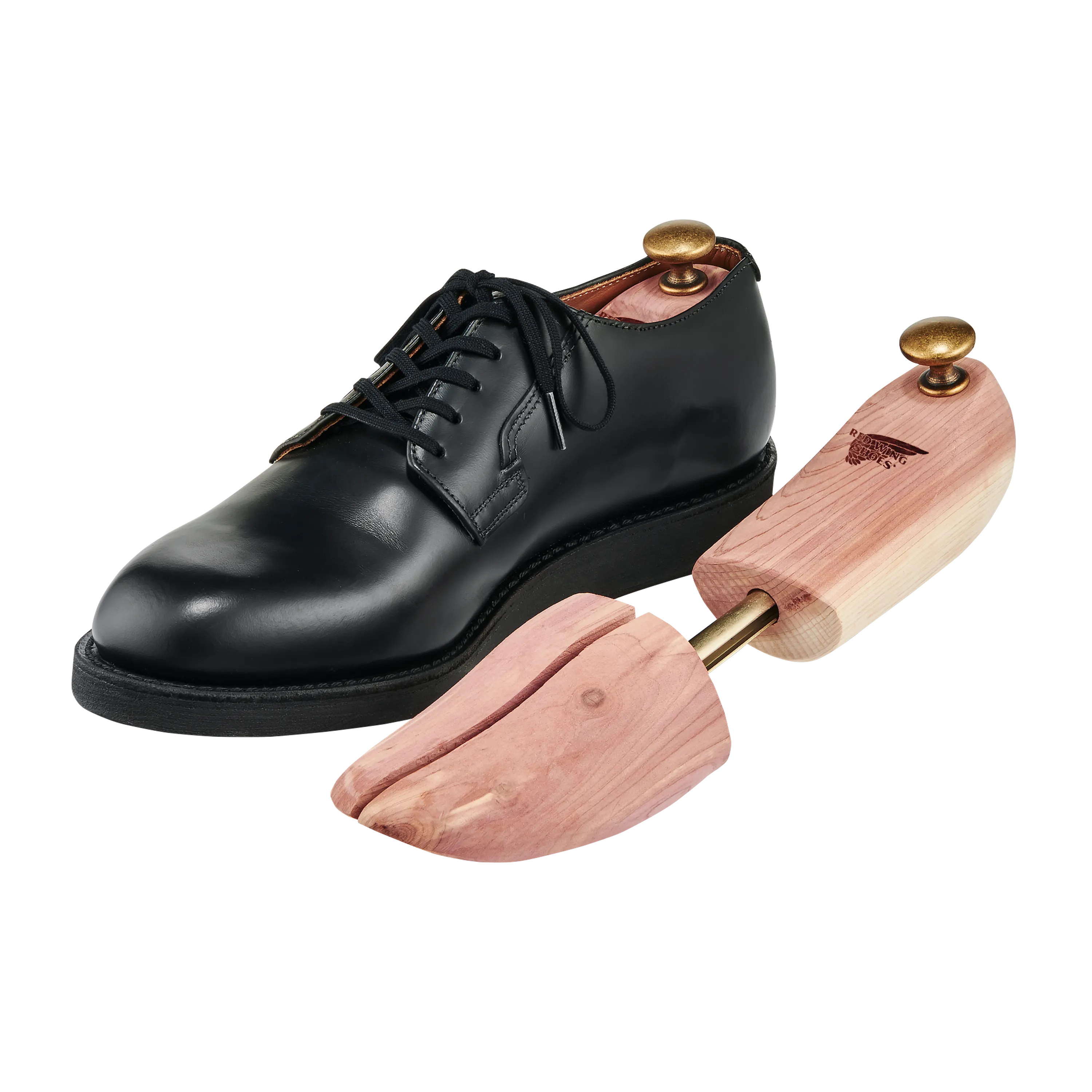 Albero Cedar Oxford