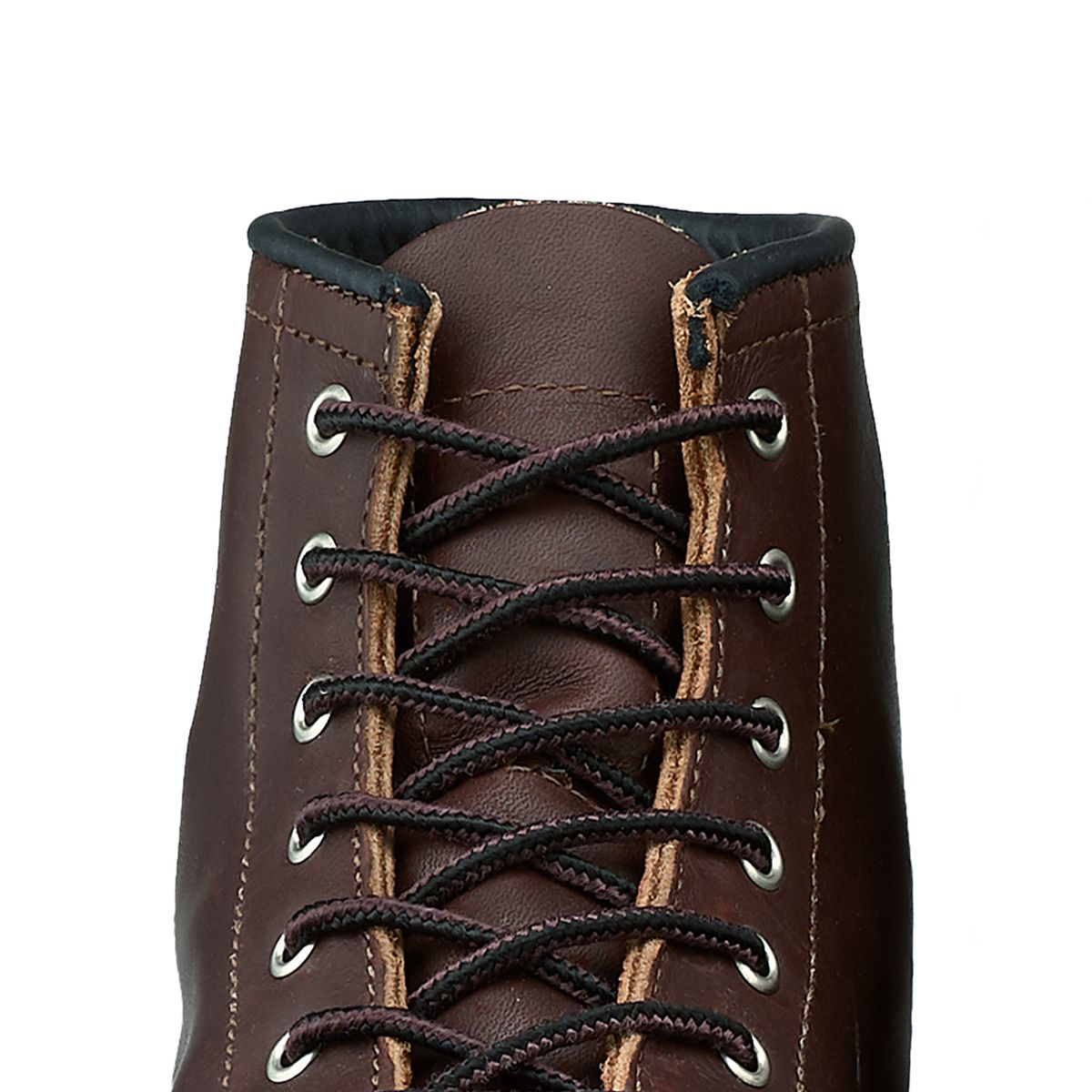 Taslan Lace da 63 pollici